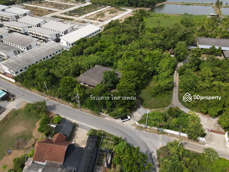 ขายถูก! ที่ดินหลัง ม.ราชภัฏนครปฐม อ.เมืองนครปฐม (เหมาะสร้างบ้านจัดสรร) เนื้อที่ 7-2-80.5 ไร่