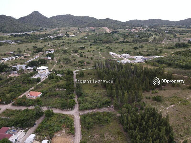 ขายถูกสุด! ที่ดินหัวหิน Hua Hin—จ.ประจวบคีรีขันธ์  (เหมาะสร้าง รีสอร์ท) บนเนื้อที่ 10-3-24 ไร่