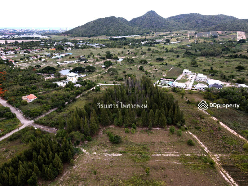 ขายถูกสุด! ที่ดินหัวหิน Hua Hin—จ.ประจวบคีรีขันธ์  (เหมาะสร้าง รีสอร์ท) บนเนื้อที่ 10-3-24 ไร่