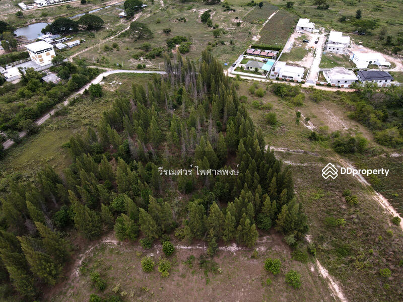 ขายถูกสุด! ที่ดินหัวหิน Hua Hin—จ.ประจวบคีรีขันธ์  (เหมาะสร้าง รีสอร์ท) บนเนื้อที่ 10-3-24 ไร่