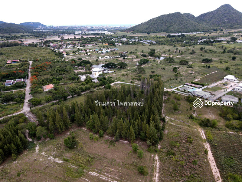 ขายถูกสุด! ที่ดินหัวหิน Hua Hin—จ.ประจวบคีรีขันธ์  (เหมาะสร้าง รีสอร์ท) บนเนื้อที่ 10-3-24 ไร่