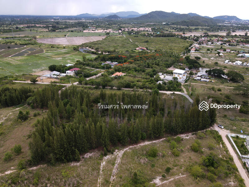 ขายถูกสุด! ที่ดินหัวหิน Hua Hin—จ.ประจวบคีรีขันธ์  (เหมาะสร้าง รีสอร์ท) บนเนื้อที่ 10-3-24 ไร่