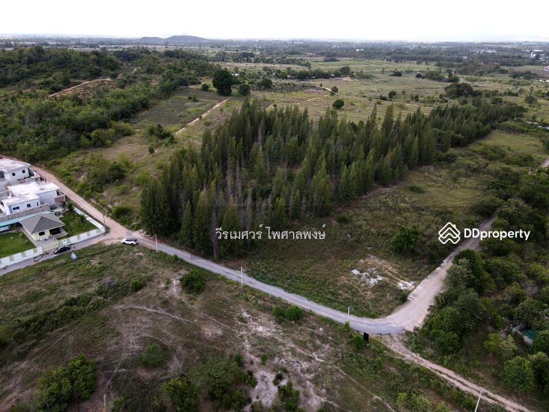 ขายถูกสุด! ที่ดินหัวหิน Hua Hin—จ.ประจวบคีรีขันธ์  (เหมาะสร้าง รีสอร์ท) บนเนื้อที่ 10-3-24 ไร่