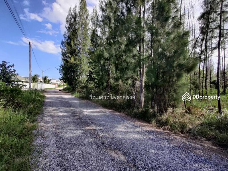 ขายถูกสุด! ที่ดินหัวหิน Hua Hin—จ.ประจวบคีรีขันธ์  (เหมาะสร้าง รีสอร์ท) บนเนื้อที่ 10-3-24 ไร่