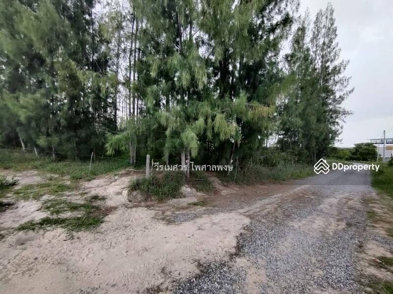 ขายถูกสุด! ที่ดินหัวหิน Hua Hin—จ.ประจวบคีรีขันธ์  (เหมาะสร้าง รีสอร์ท) บนเนื้อที่ 10-3-24 ไร่