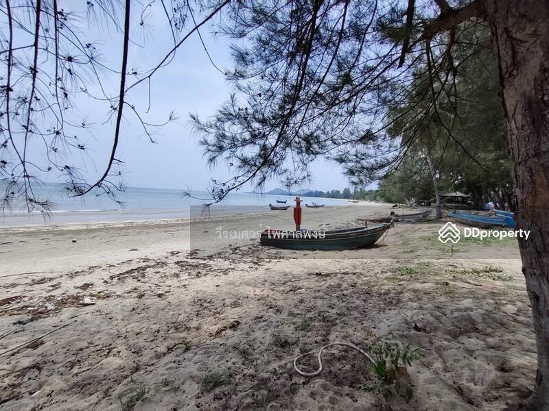 ขายถูกสุด! ที่ดิน อ.ทับสะแก จ.ประจวบคีรีขันธ์ (ใกล้ทะเลใส 600 m.) 35-0-18 ไร่ 