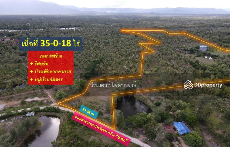 ขายถูกสุด! ที่ดิน อ.ทับสะแก จ.ประจวบคีรีขันธ์ (ใกล้ทะเลใส 600 m.) 35-0-18 ไร่ 
