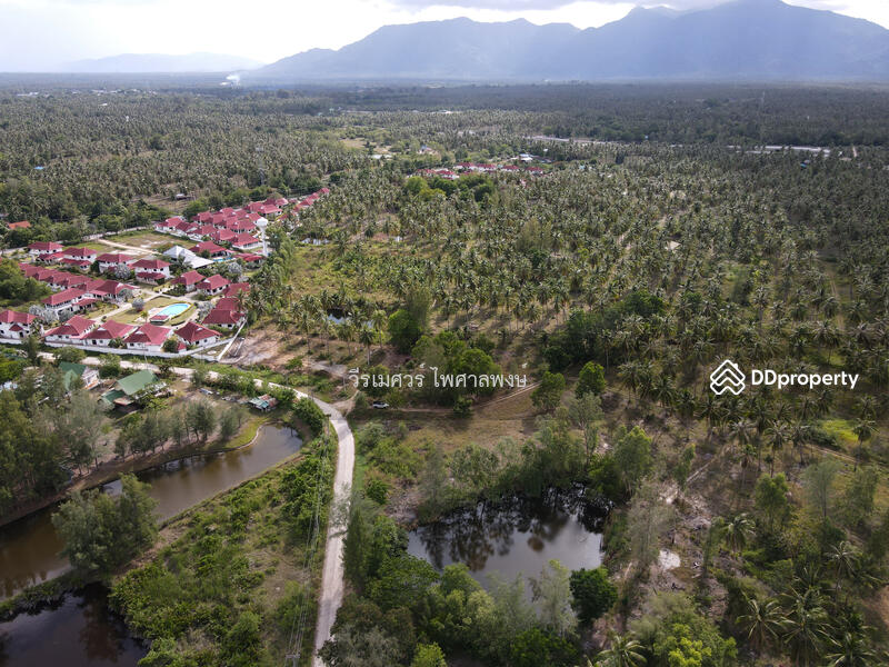 ขายถูกสุด! ที่ดิน อ.ทับสะแก จ.ประจวบคีรีขันธ์ (ใกล้ทะเลใส 600 m.) 35-0-18 ไร่ 