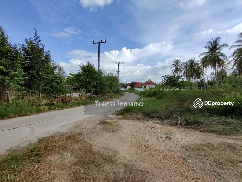 ขายถูกสุด! ที่ดิน อ.ทับสะแก จ.ประจวบคีรีขันธ์ (ใกล้ทะเลใส 600 m.) 35-0-18 ไร่ 