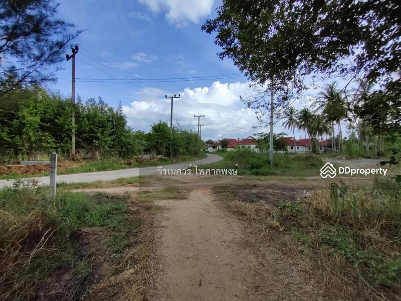 ขายถูกสุด! ที่ดิน อ.ทับสะแก จ.ประจวบคีรีขันธ์ (ใกล้ทะเลใส 600 m.) 35-0-18 ไร่ 