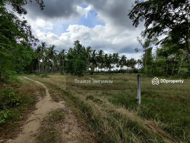 ขายถูกสุด! ที่ดิน อ.ทับสะแก จ.ประจวบคีรีขันธ์ (ใกล้ทะเลใส 600 m.) 35-0-18 ไร่ 