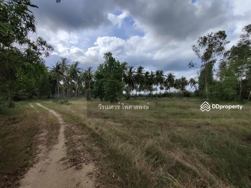 ขายถูกสุด! ที่ดิน อ.ทับสะแก จ.ประจวบคีรีขันธ์ (ใกล้ทะเลใส 600 m.) 35-0-18 ไร่ 