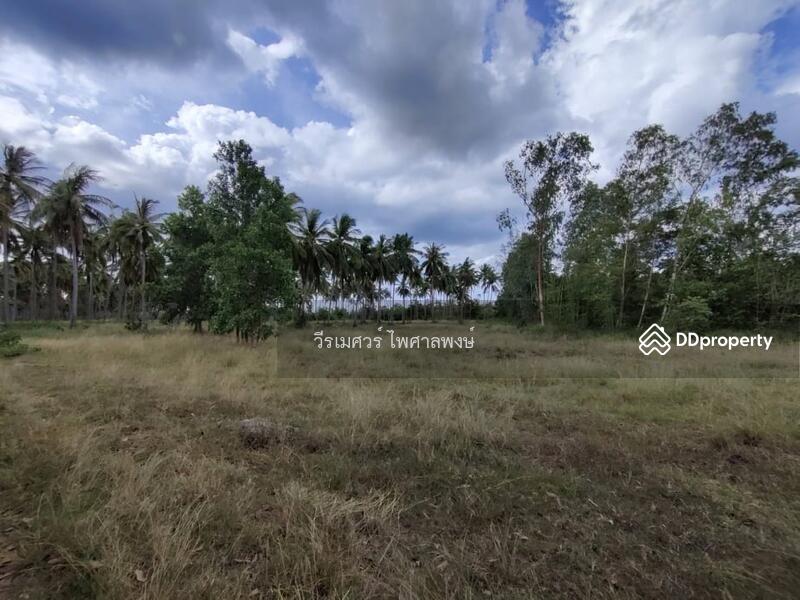 ขายถูกสุด! ที่ดิน อ.ทับสะแก จ.ประจวบคีรีขันธ์ (ใกล้ทะเลใส 600 m.) 35-0-18 ไร่ 