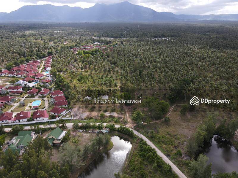 ขายถูกสุด! ที่ดิน อ.ทับสะแก จ.ประจวบคีรีขันธ์ (ใกล้ทะเลใส 600 m.) 35-0-18 ไร่ 