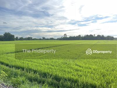 ขาย - ที่ดิน 4 ไร่ 2 งาน 99 ตร.วา, นครนายก