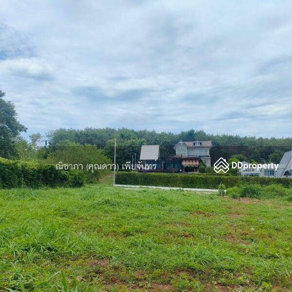 ใกล้ถนนเส้น 332,ซอยวัดทุ่งโป่ง, ชลบุรี, ใกล้ถนนเส้น 332,ซอยวัดทุ่งโป่ง, บางเสร่, สัตหีบ, ชลบุรี, 852 ตร.ม., ที่ดิน ขาย, โดย ณิชาภา (คุณดาว) เพียจันทร์, 9137694 - DDproperty.com