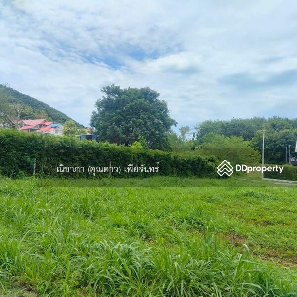 ใกล้ถนนเส้น 332,ซอยวัดทุ่งโป่ง, Chon Buri (Pattaya), ใกล้ถนนเส้น 332,ซอยวัดทุ่งโป่ง, Bang Sa-re, Sattahip, Chon Buri (Pattaya), , 852 sqm, Land For Sale, by Nichapa Phiachan, 9137694 - DDproperty.com
