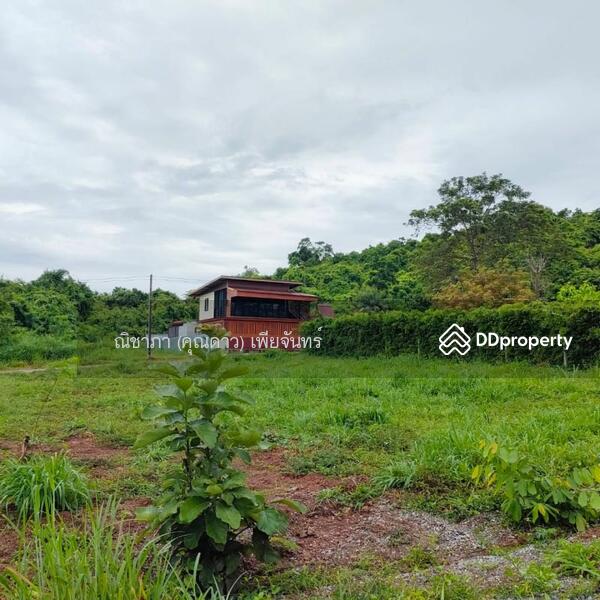 ใกล้ถนนเส้น 332,ซอยวัดทุ่งโป่ง, ชลบุรี, ใกล้ถนนเส้น 332,ซอยวัดทุ่งโป่ง, บางเสร่, สัตหีบ, ชลบุรี, 852 ตร.ม., ที่ดิน ขาย, โดย ณิชาภา (คุณดาว) เพียจันทร์, 9137694 - DDproperty.com