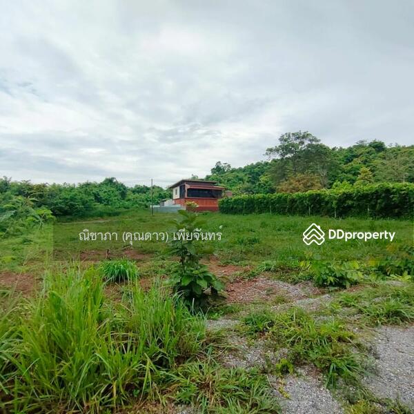 ใกล้ถนนเส้น 332,ซอยวัดทุ่งโป่ง, Chon Buri (Pattaya), ใกล้ถนนเส้น 332,ซอยวัดทุ่งโป่ง, Bang Sa-re, Sattahip, Chon Buri (Pattaya), , 852 sqm, Land For Sale, by Nichapa Phiachan, 9137694 - DDproperty.com