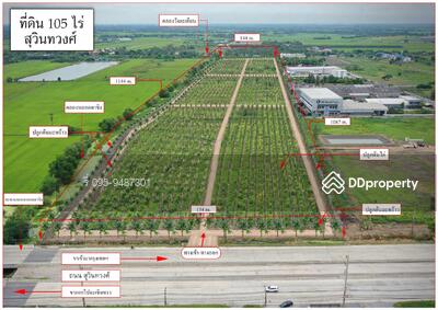 ขาย - ที่ดิน 105 ไร่ ติดถนนสุวินทวงศ์ กม 69, ฉะเชิงเทรา