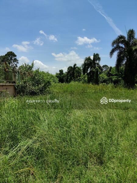 ขายที่ดินแถมโรงงาน ถูกมาก ไร่ละ 1.4 ล้าน อ.ศรีมหาโพธิ จ.ปราจีนบุรี, Prachin Buri, Nong Phrong, Sri Maha Pho, Prachin Buri, , 22,236 sqm, Land For Sale, by DUJDAO UDOMSIN, 9206723 - พื้นที่ว่างภายในเขตโรงงาน  - DDproperty.com