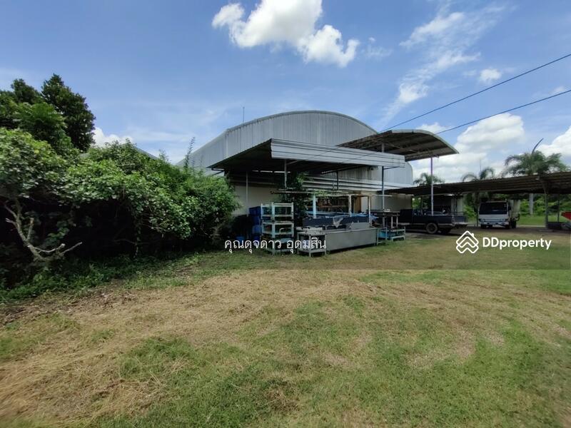 ข้างโรงงานและด้านหลัง