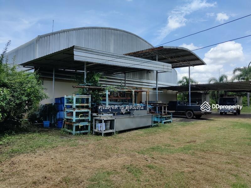 ขาย - ขายที่ดินแถมโรงงาน ถูกมาก ไร่ละ 1.4 ล้าน อ.ศรีมหาโพธิ จ.ปราจีนบุรี, ปราจีนบุรี