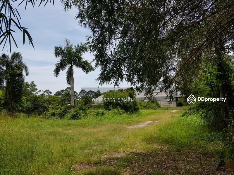 พื้นที่ว่างในเขตโรงงาน