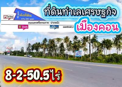 ขาย - ที่ดินทำเลทอง ใกล้ไทวัสดุนครศรีธรรมราช, นครศรีธรรมราช