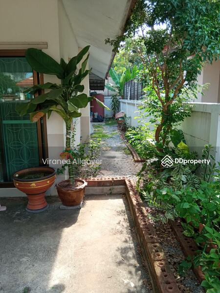 ขายเดี่ยว, Nakhon Ratchasima, Ban Mai, Muang Nakhon Ratchasima, Nakhon Ratchasima, 3 Bedrooms, 210 sqm, Single Detached House For Sale, by วิรณี, 9268258 - DDproperty.com