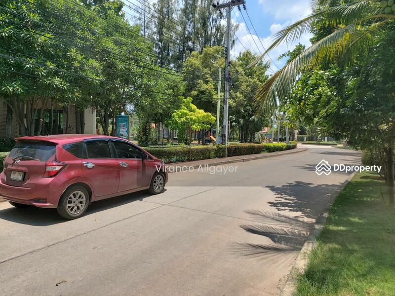 ขายเดี่ยว, Nakhon Ratchasima, Ban Mai, Muang Nakhon Ratchasima, Nakhon Ratchasima, 3 Bedrooms, 210 sqm, Single Detached House For Sale, by วิรณี, 9268258 - DDproperty.com