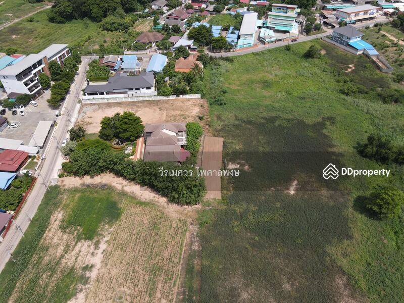 ขายที่ดิน อ.เมืองพิษณุโลก (เข้าซอยฝั่งตรงข้าม Central Plaza) 10-2-35.9 ไร่ 