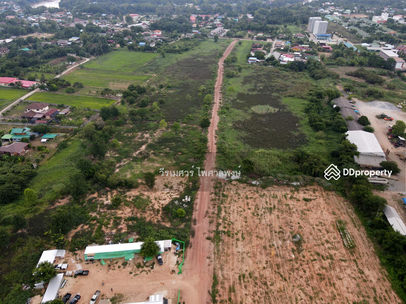 ขายที่ดิน อ.เมืองพิษณุโลก—ติดถนนหมายเลข 12 (ฝั่งตรงข้าม Central Plaza) 54-3-81.5 ไร่ 