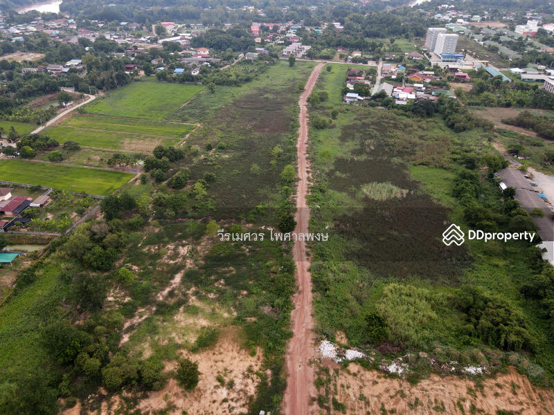 ขายที่ดิน อ.เมืองพิษณุโลก—ติดถนนหมายเลข 12 (ฝั่งตรงข้าม Central Plaza) 54-3-81.5 ไร่ 