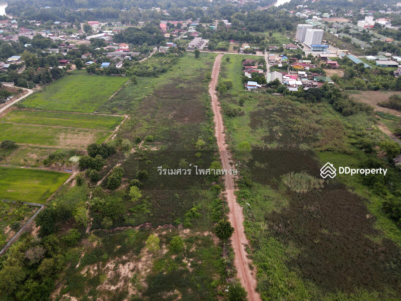ขายที่ดิน อ.เมืองพิษณุโลก—ติดถนนหมายเลข 12 (ฝั่งตรงข้าม Central Plaza) 54-3-81.5 ไร่ 