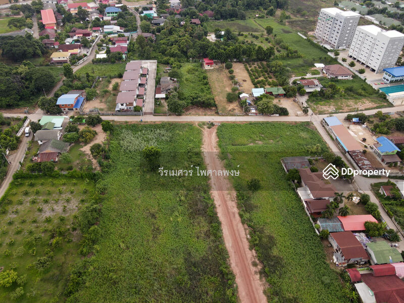 ขายที่ดิน อ.เมืองพิษณุโลก—ติดถนนหมายเลข 12 (ฝั่งตรงข้าม Central Plaza) 54-3-81.5 ไร่ 