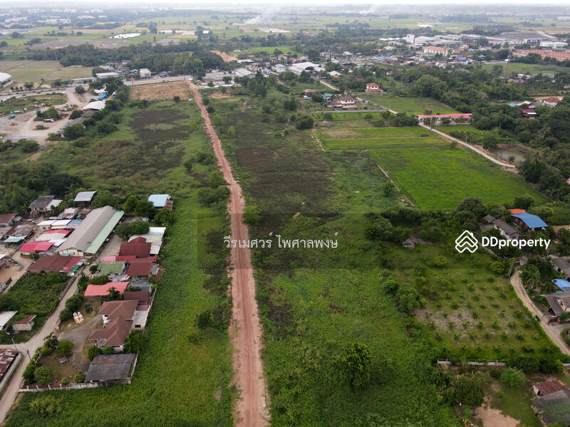 ขายที่ดิน อ.เมืองพิษณุโลก—ติดถนนหมายเลข 12 (ฝั่งตรงข้าม Central Plaza) 54-3-81.5 ไร่ 