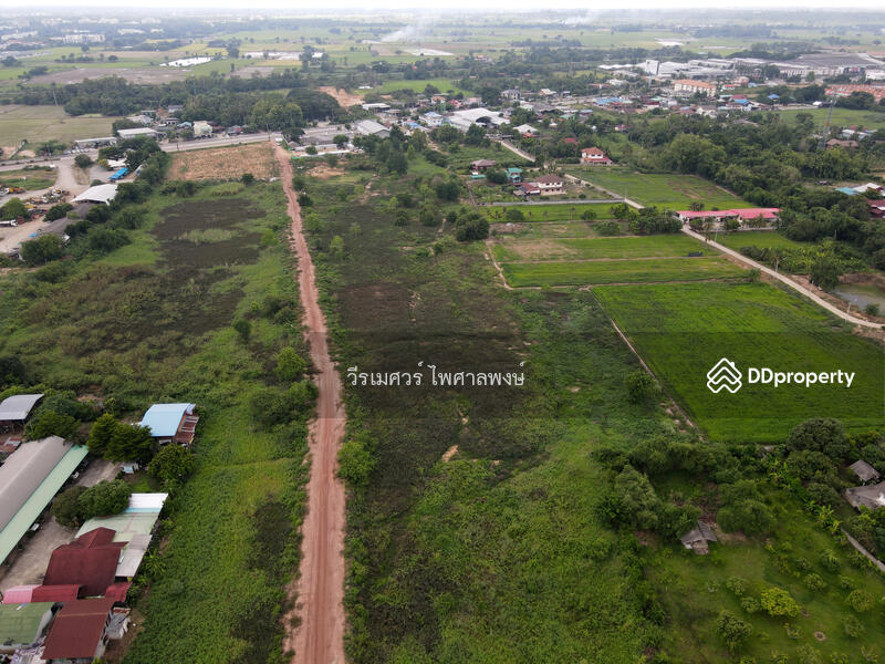ขายที่ดิน อ.เมืองพิษณุโลก—ติดถนนหมายเลข 12 (ฝั่งตรงข้าม Central Plaza) 54-3-81.5 ไร่ 