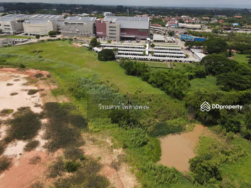 ขายที่ดิน อ.เมืองพิษณุโลก—(หลัง Central Plaza) 10 ไร่ 2 งาน #หน้ากว้างติดถนน 50 m. 