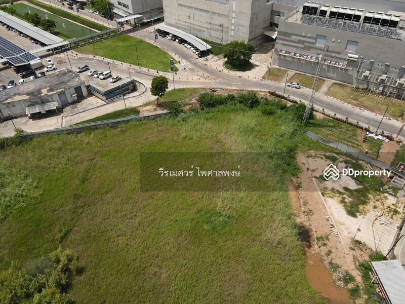 ขายที่ดิน อ.เมืองพิษณุโลก—(หลัง Central Plaza) 10 ไร่ 2 งาน #หน้ากว้างติดถนน 50 m. 