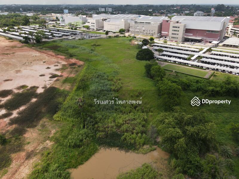 ขายที่ดิน อ.เมืองพิษณุโลก—(หลัง Central Plaza) 10 ไร่ 2 งาน #หน้ากว้างติดถนน 50 m. 
