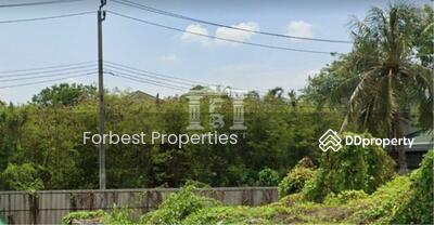 ขาย - 41092 - ขายที่ดิน ในหมู่บ้าน Evergreen กาญจนาภิเษก ใกล้เดอะมอลล์บางแค เนื้อที่ 185 ตร.ว., กรุงเทพ