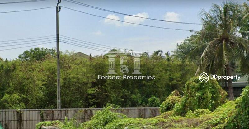 For Sale - 41092 - ขายที่ดิน ในหมู่บ้าน Evergreen กาญจนาภิเษก ใกล้เดอะมอลล์บางแค เนื้อที่ 185 ตร.ว., Bangkok