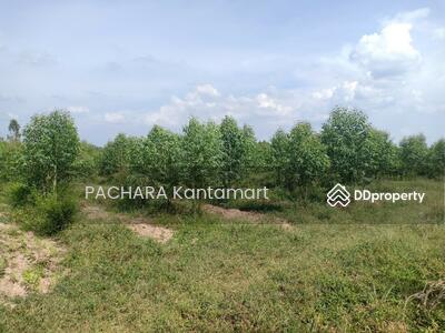 ขาย - ขายที่ดินเปล่า 9 ไร่ 1งาน 60 ตารางวา อยู่ถนนหมายเลข 3023 อ.ศรีมหาโพธิ ต.กรอกสมบูรณ์ จ. ปราจีน, ปราจีนบุรี