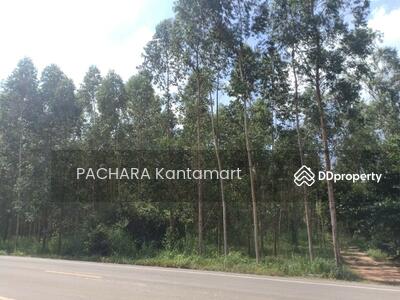 ขาย - ขายที่ดินเปล่า 38ไร่ 1งาน 07 ตารางวา อยู่บนถนนหมายเลข 3023 อ.ศรีมหาโพธิ ต.กรอกสมบูรณ์ จ. ปราจีน, ปราจีนบุรี