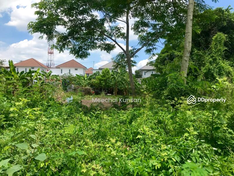 ที่ดินติดถนนสายไหม, Bangkok, Sai Mai, Sai Mai, Bangkok, , 5,676 sqm, Land For Sale, by Meechai Kunsan, 9298283 - DDproperty.com