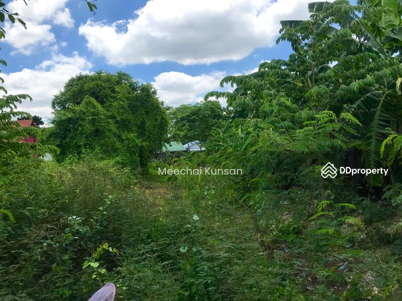 ที่ดินติดถนนสายไหม, Bangkok, Sai Mai, Sai Mai, Bangkok, , 5,676 sqm, Land For Sale, by Meechai Kunsan, 9298283 - DDproperty.com