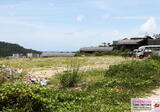 ป่าตอง ไตรตรัง หาดฟรีด้อม - DDproperty.com