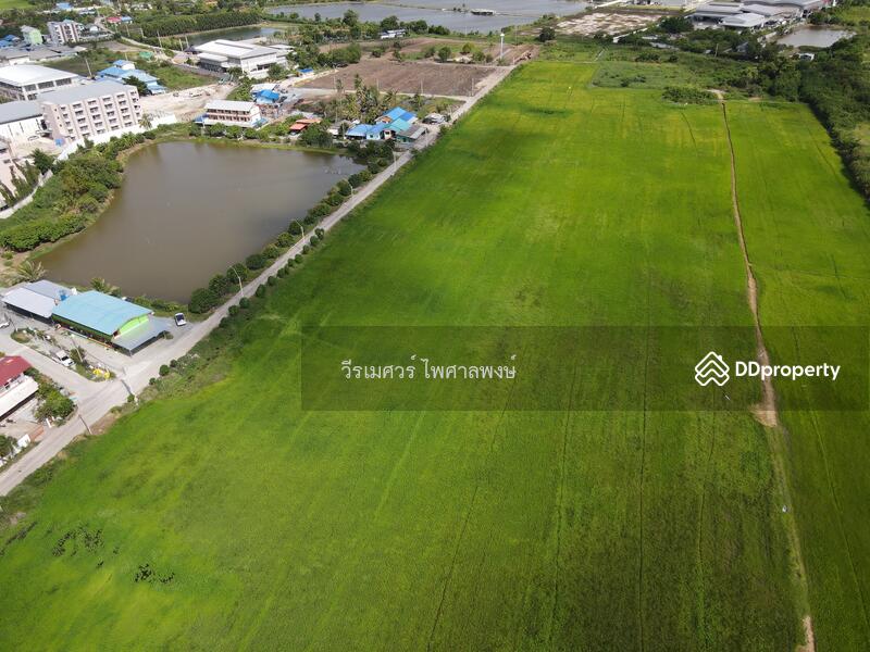 ขายถูก ที่ดินเส้นบางนา-ตราด ต.บางเสาธง จ.สมุทรปราการ (ผังสีม่วง : Zone อุตสาหกรรม) 35 ไร่ 