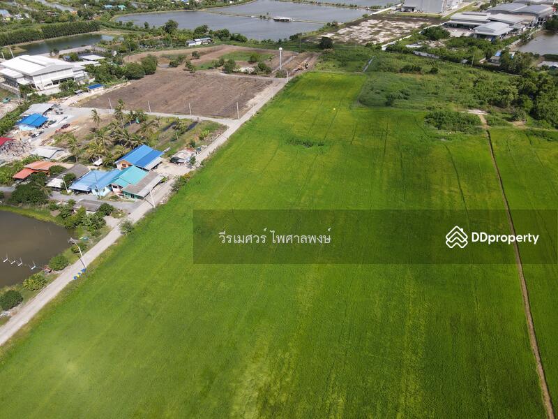 ขายถูก ที่ดินเส้นบางนา-ตราด ต.บางเสาธง จ.สมุทรปราการ (ผังสีม่วง : Zone อุตสาหกรรม) 35 ไร่ 